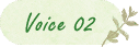 voice2