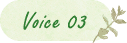 voice3